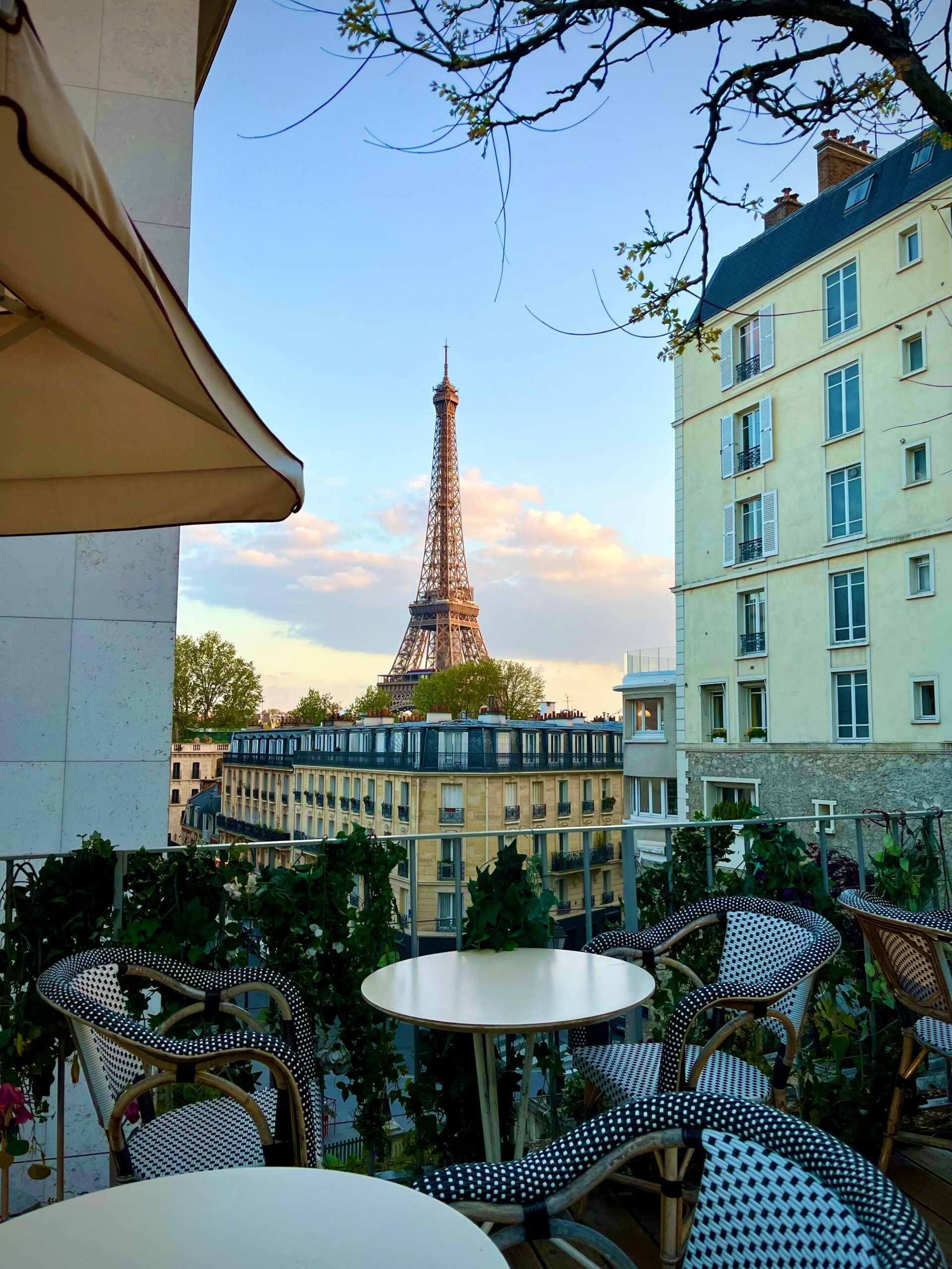 Paris: Cruise - Eiffel Tower