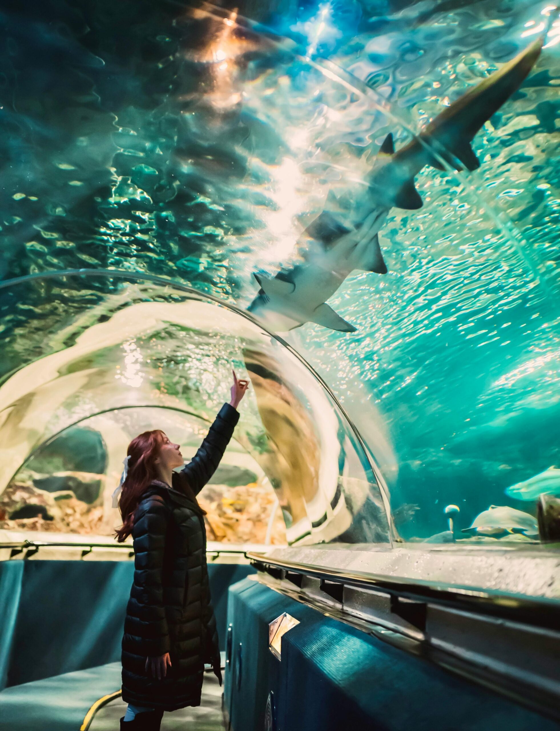 AQUARIUM OF GENOA