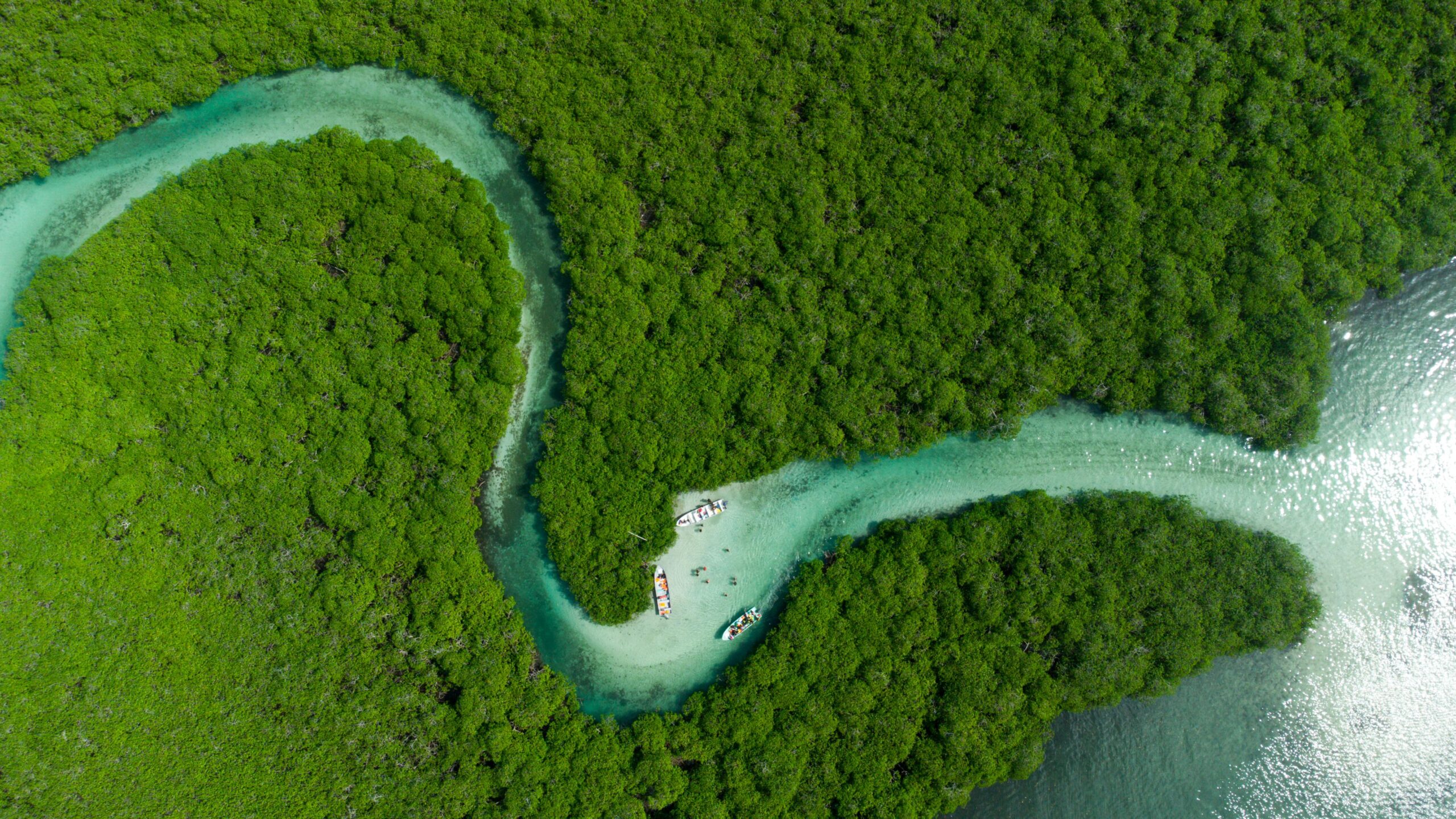 Bocas del Toro